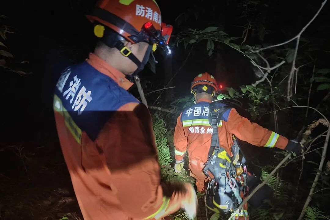 结伴登山被“刺客”追着咬!一成年男子倒地昏迷 结伴登山被“刺客”追着咬!一成年男子倒地昏迷