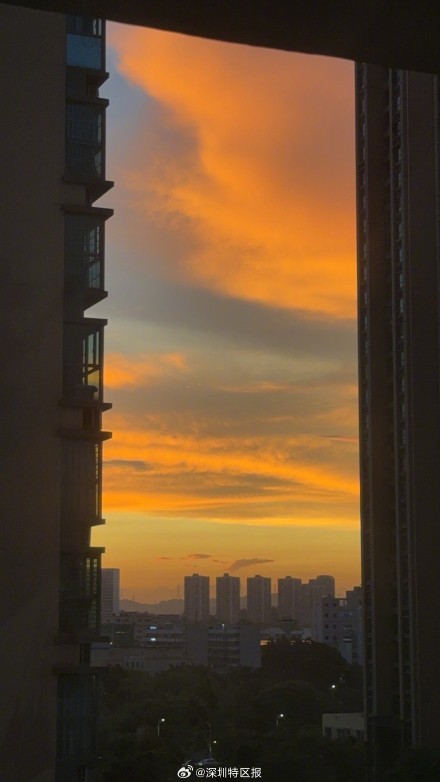 台风前夕，深圳晚霞又“上线”啦