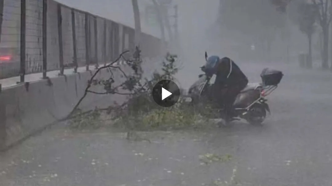 狂风暴雨中，大树枝砸落车前！外卖小哥及时出手，“他事后没留下姓名，默默离开”