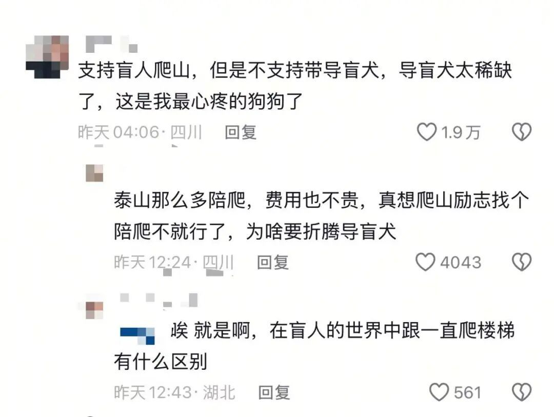 视障人士带导盲犬爬泰山，网友吵翻，导盲犬基地回应