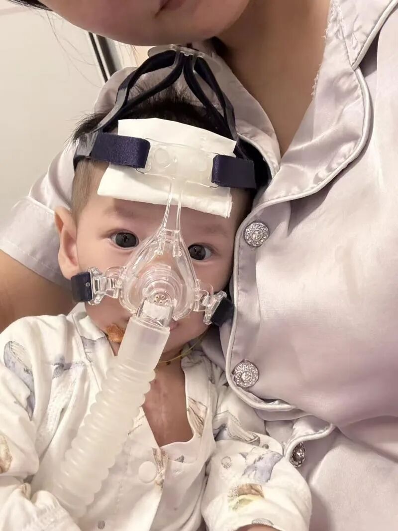 出生237天离世，小宝宝成了“大体老师”…妈妈：我们淋过雨，也想帮别人撑撑伞