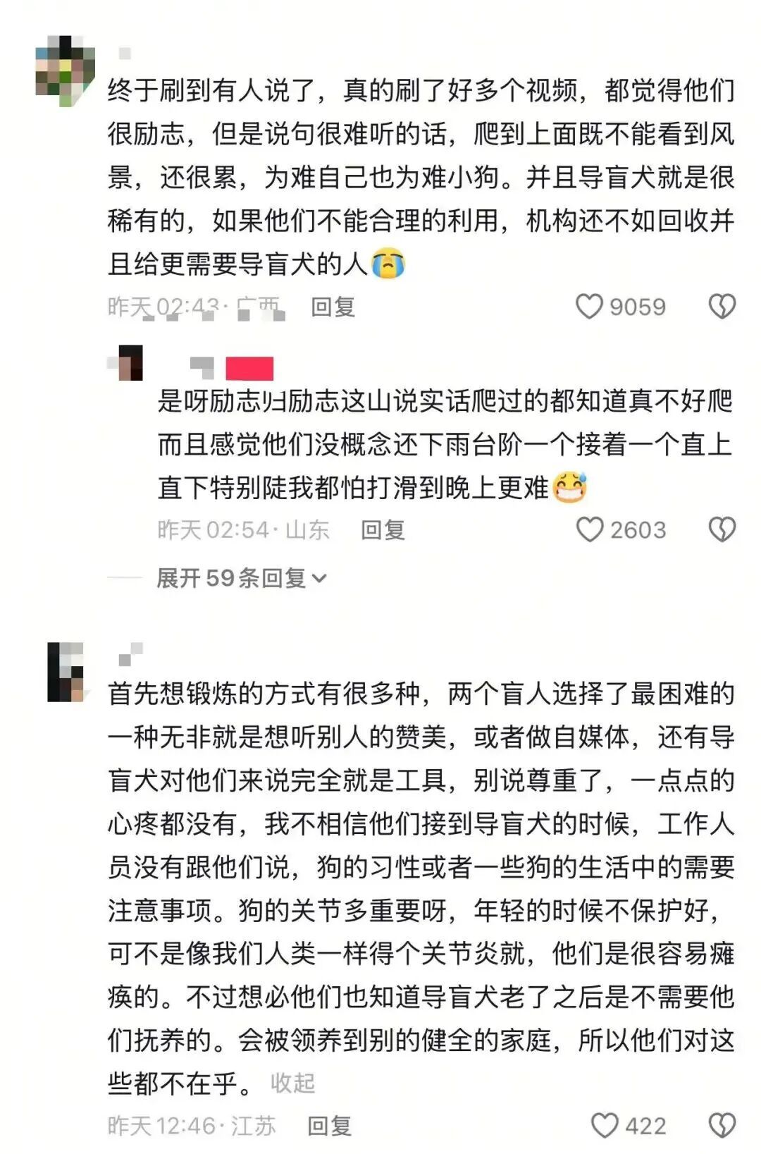 视障人士带导盲犬爬泰山，网友吵翻，导盲犬基地回应