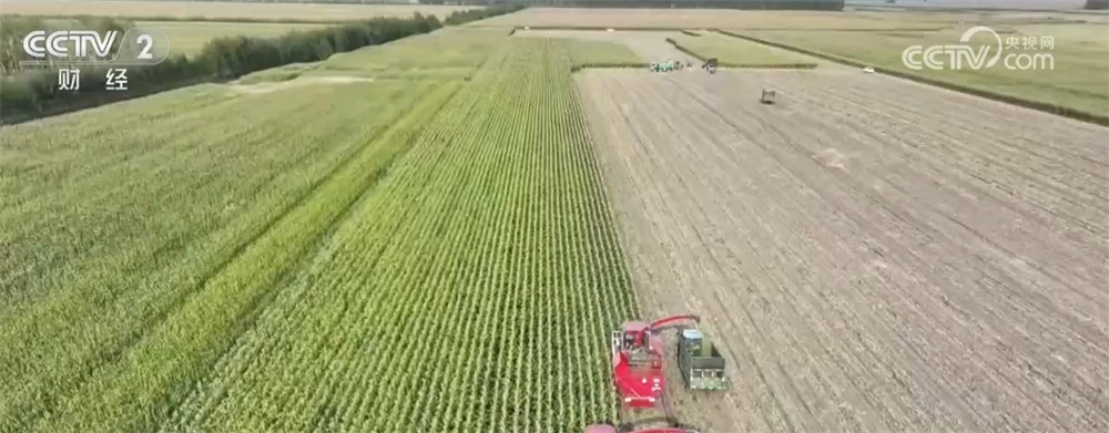 “新”潮澎湃勾勒“科技秋收图” 良种、良技、良机奏响“秋粮丰收曲”