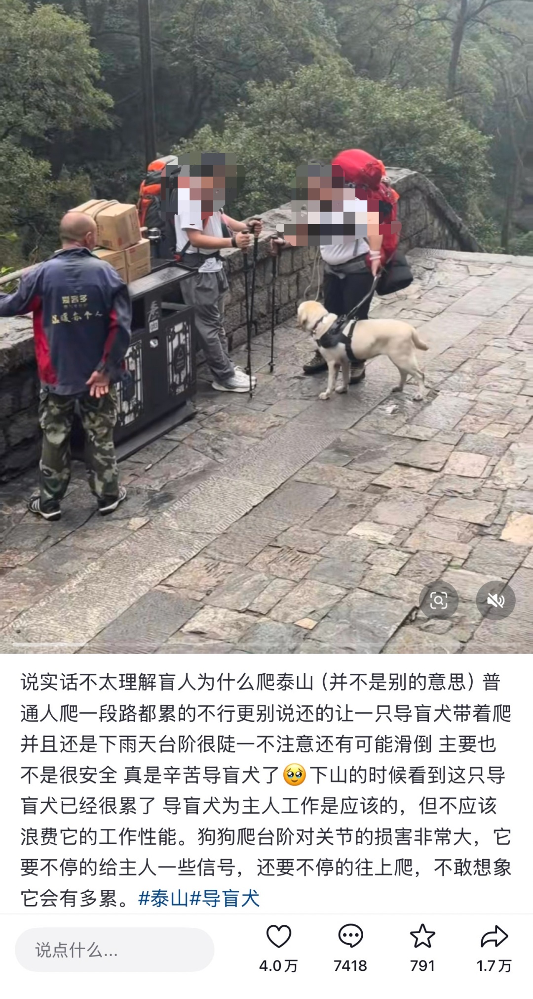 视障人士带导盲犬爬泰山，网友吵翻，导盲犬基地回应