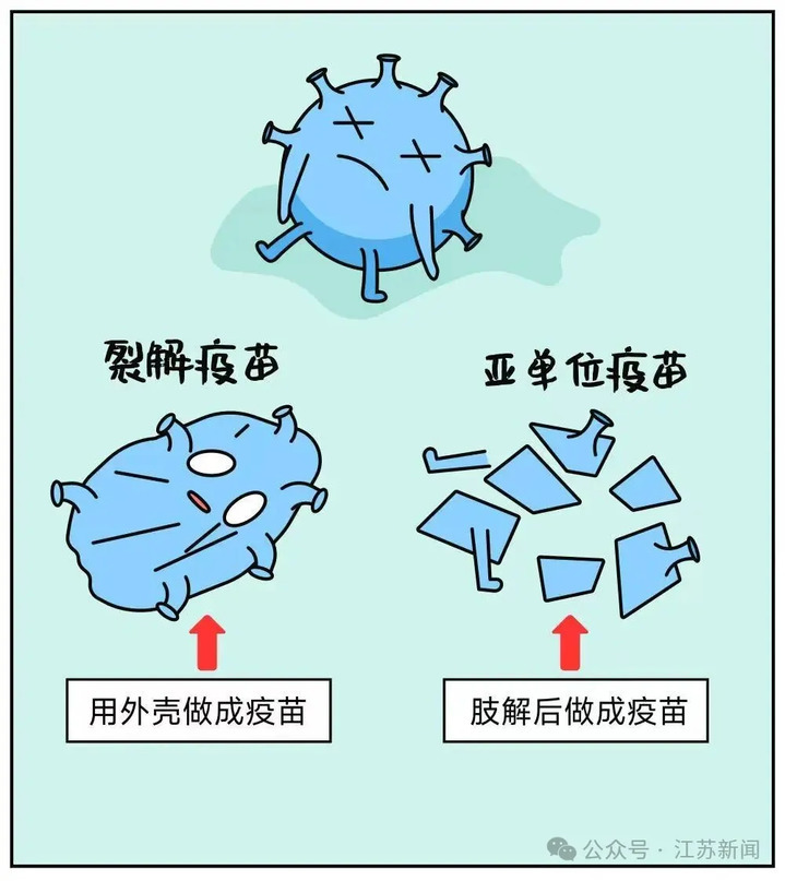 流感疫苗要不要打？打哪种？去哪打？建议收藏