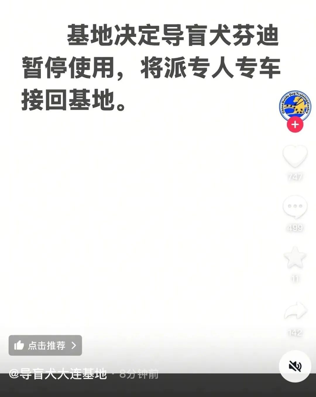 视障人士带导盲犬爬泰山，网友吵翻，导盲犬基地回应