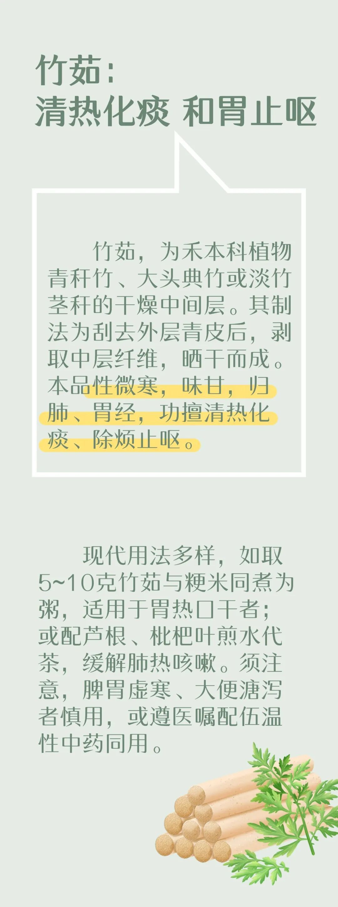 一身皆是宝,一根竹子多种养生妙用,清热润肺,养颜延年~ 一身皆是宝,一根竹子多种养生妙用,清热润肺,养颜延年~
