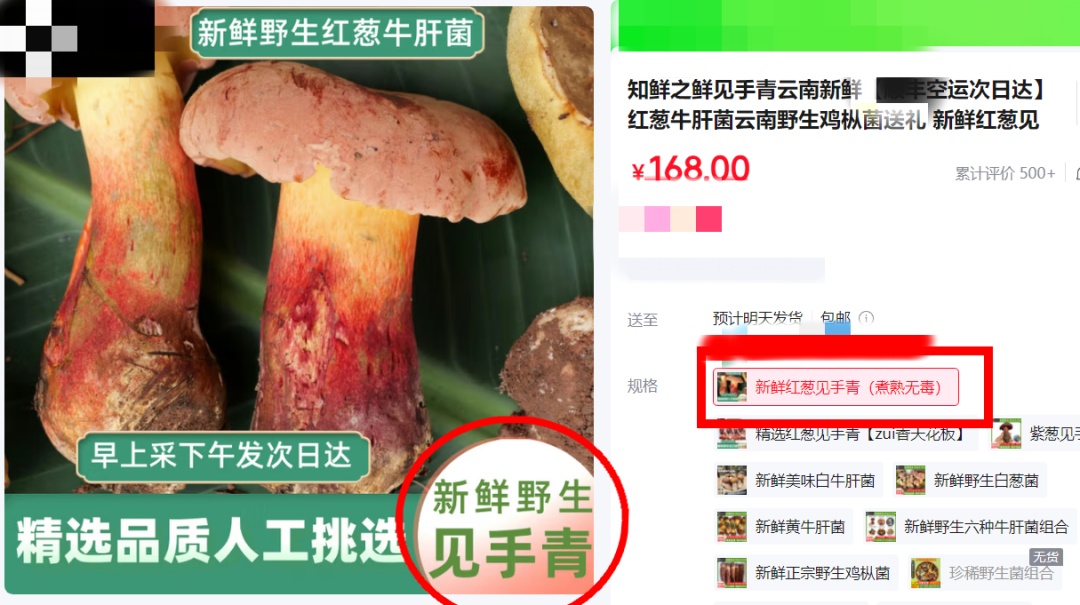 网红菌菇搜索量突然上涨！专家紧急提醒