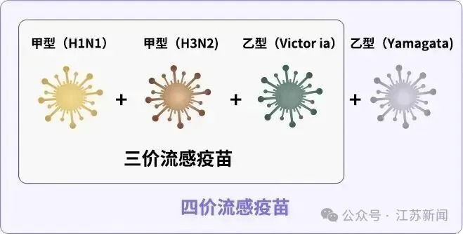 流感疫苗要不要打？打哪种？去哪打？建议收藏