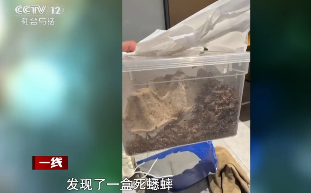 太离谱！00后女主播上海生活2个月开销0元？警方：刑拘！