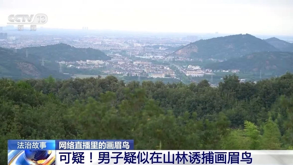 深夜直播竟暗藏非法交易 男子售卖画眉鸟被刑拘