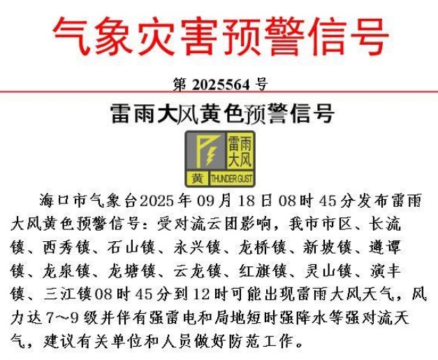 海口发布“双黄”预警！17号台风即将生成，预计登陆时间、地点→