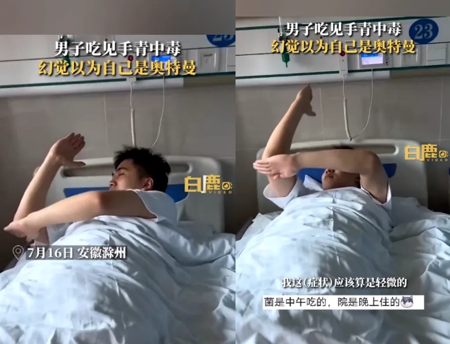 网红菌菇被开除“毒籍”,搜索量一下上涨!专家紧急提醒 网红菌菇被开除“毒籍”,搜索量一下上涨!专家紧急提醒