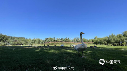 北京今日蓝天是具象化的秋高气爽
