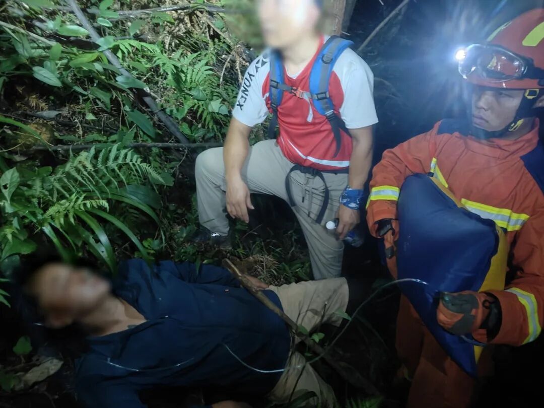结伴登山被“刺客”追着咬!一成年男子倒地昏迷 结伴登山被“刺客”追着咬!一成年男子倒地昏迷