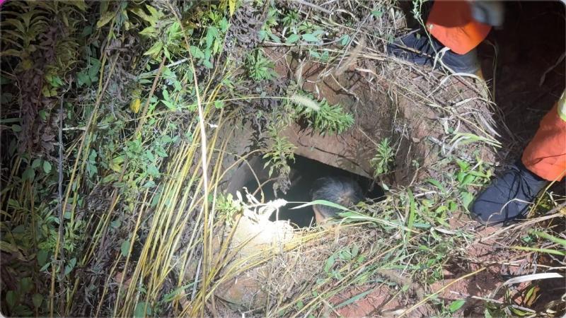 江西南昌：男子深夜下井救狗反被困 消防紧急救援