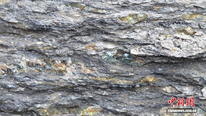 国际最新研究:南美发现首批保存昆虫琥珀沉积物 国际最新研究:南美发现首批保存昆虫琥珀沉积物