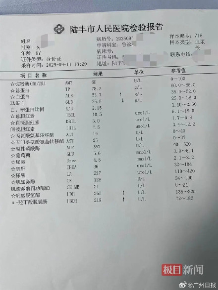 陆丰94名学生急性肠胃炎 教育局道歉