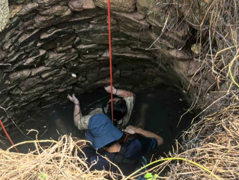 多条蛇缠身,女子被咬了也不敢动!深井内苦撑54小时后…… 多条蛇缠身,女子被咬了也不敢动!深井内苦撑54小时后……