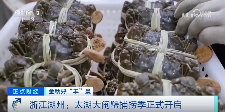 鱼满舱、稻谷黄 “梯田+”撬动农旅融合产业链 村民乐享发展红利