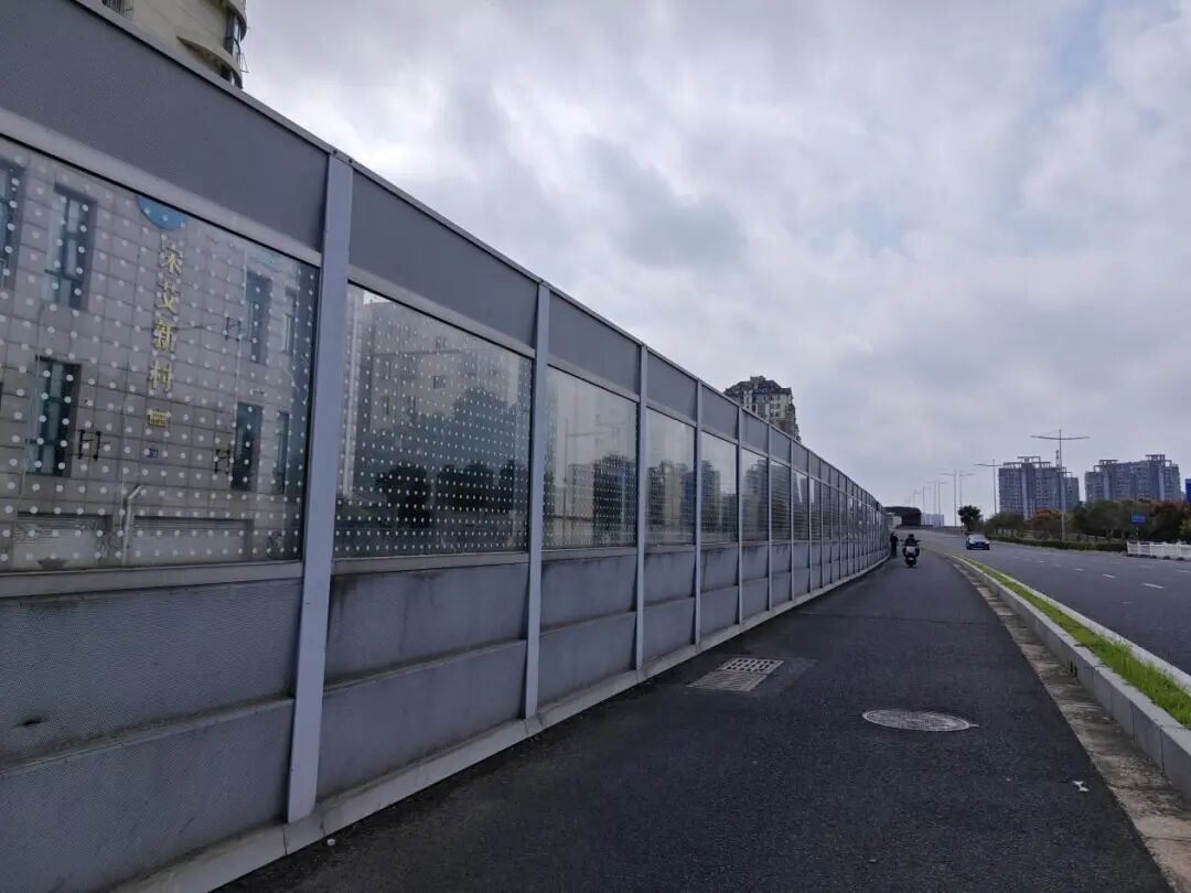 暖心后续！南京“小鸟撞墙死亡”高发地穿上了“防撞衣”