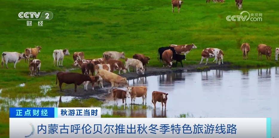 各地特色“文旅大餐”激发出游热潮 持续释放文旅消费蓬勃活力