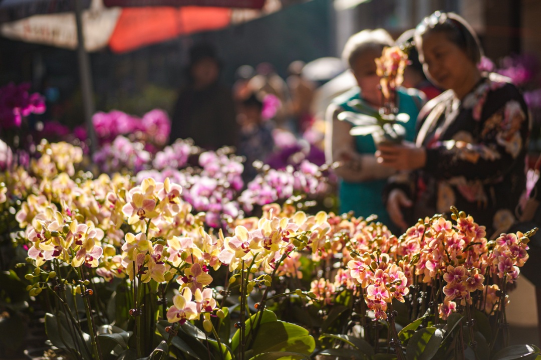 年轻人最喜欢广州的理由,藏在这里 年轻人最喜欢广州的理由,藏在这里