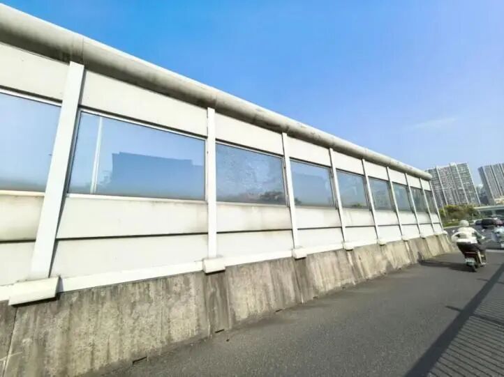 暖心后续！南京“小鸟撞墙死亡”高发地穿上了“防撞衣”