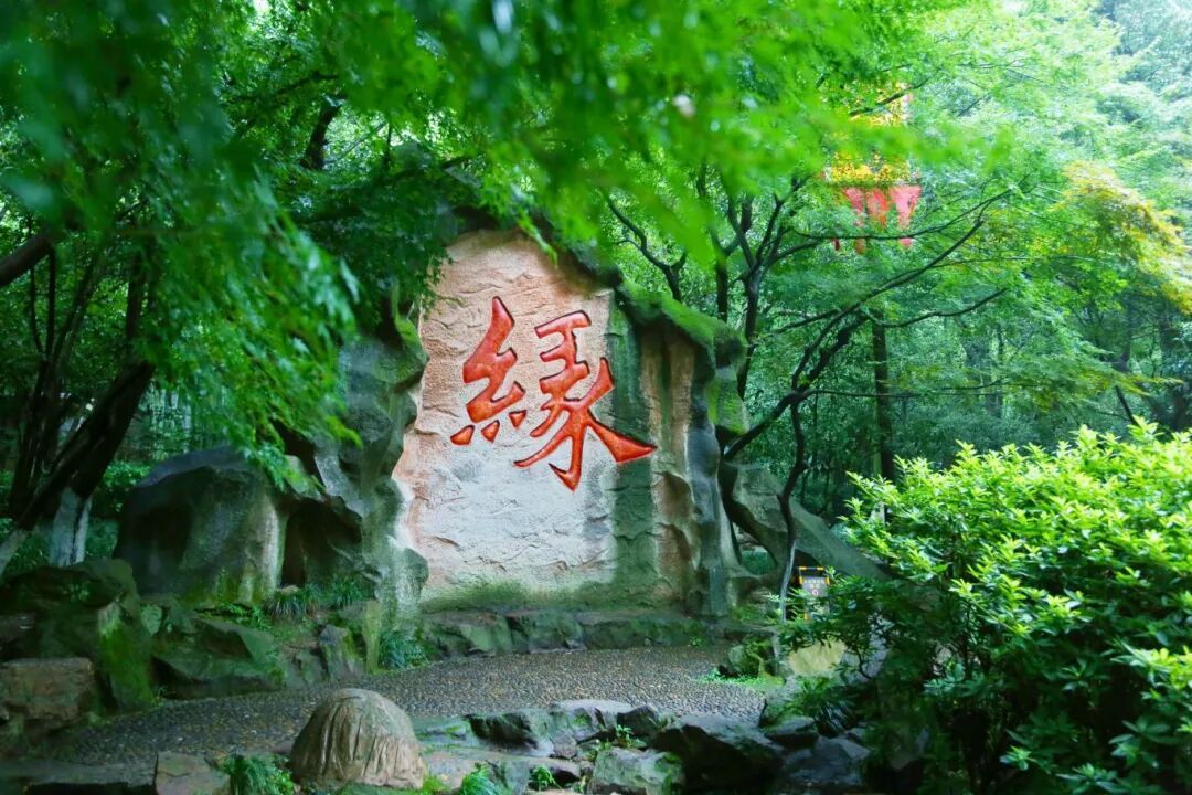 杭州西湖知名景点明天起关闭！年底见！