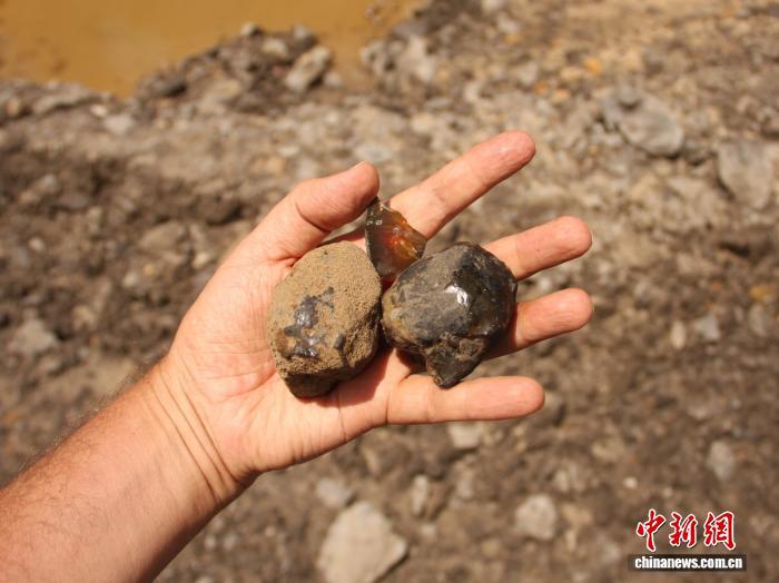 国际最新研究:南美发现首批保存昆虫琥珀沉积物 国际最新研究:南美发现首批保存昆虫琥珀沉积物