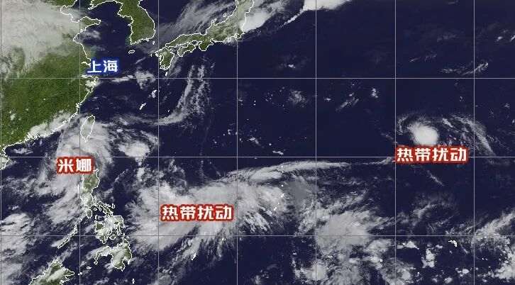 提醒：上海人今天早点回家！秋台风威力惊人，一地发布停课预警