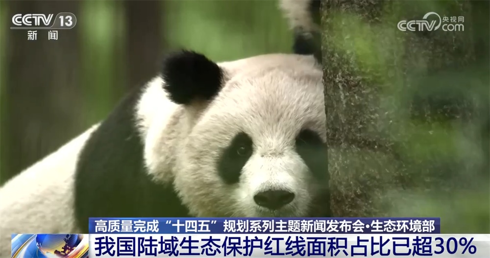 多维数据绘就美丽中国画卷 我国生态环境质量延续持续向好态势