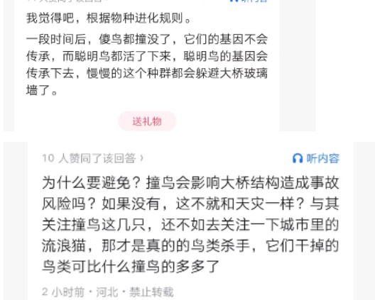 暖心后续！南京“小鸟撞墙死亡”高发地穿上了“防撞衣”