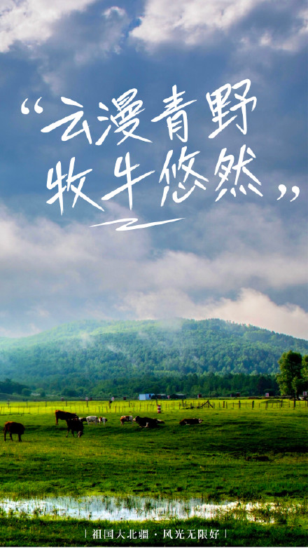 一键换屏保！内蒙古的秋天有多出片