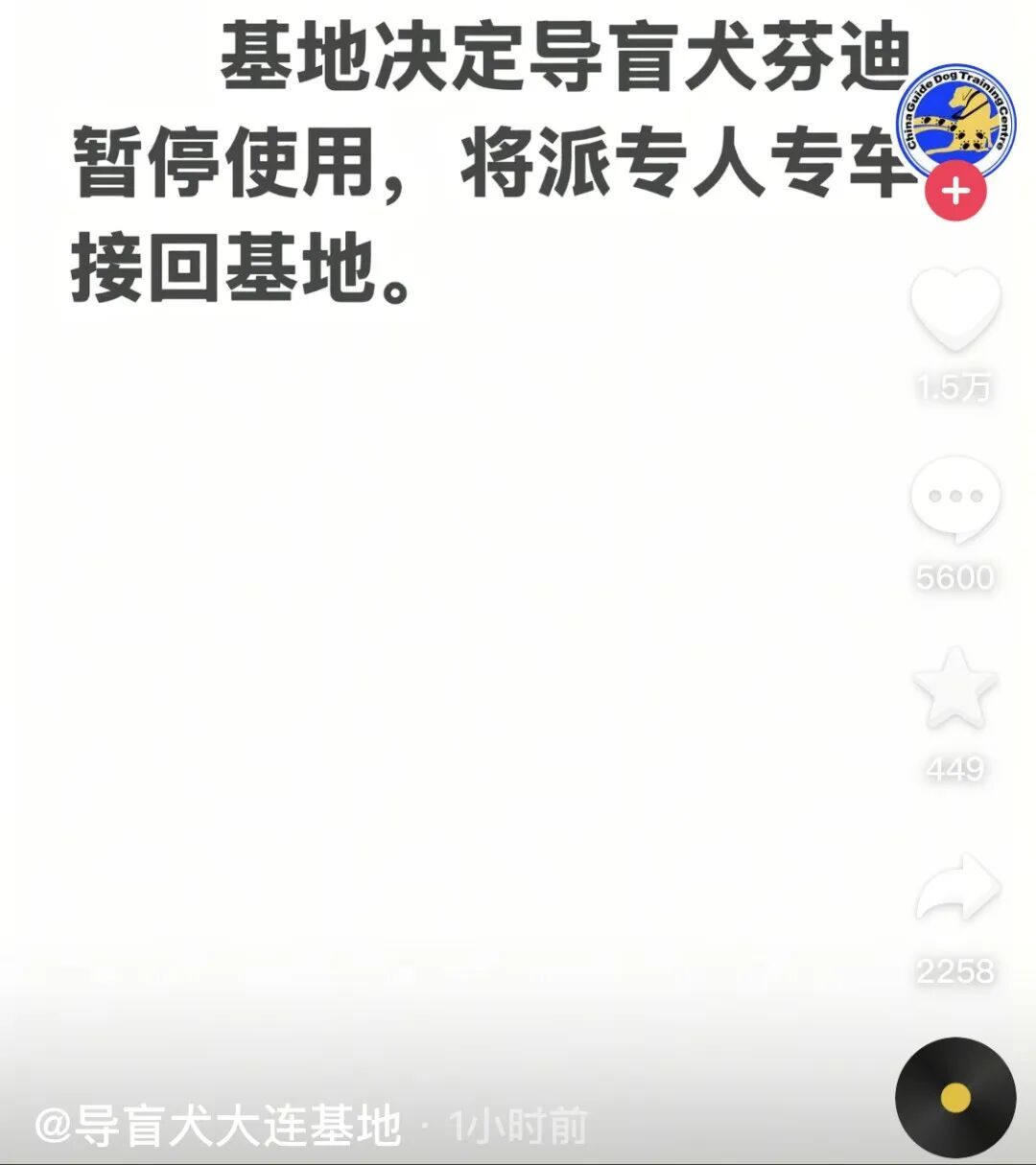 视障人士携导盲犬雨夜爬泰山引争议，基地已派专车收回犬只