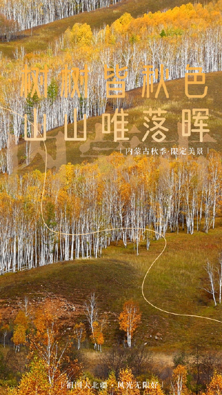 一键换屏保！内蒙古的秋天有多出片