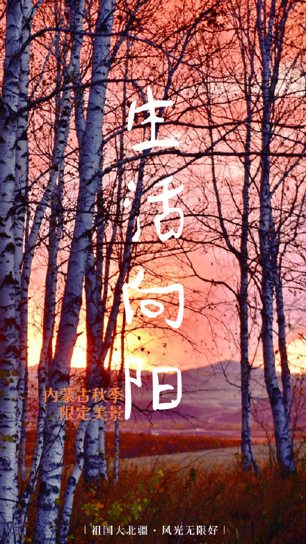 一键换屏保！内蒙古的秋天有多出片