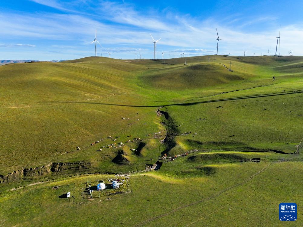 美丽中国丨内蒙古扎鲁特草原秋色渐浓