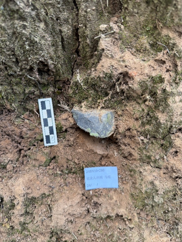 距今1.4万年！海南这里新发现30处旧石器地点→
