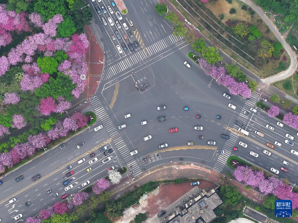会里会外看东博会：一辆车 行天下