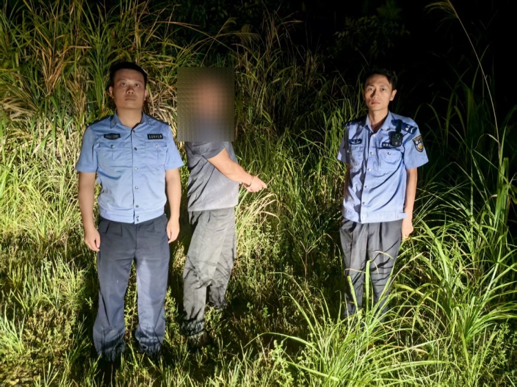 4箱蜜蜂被“一锅端”，邻居陈某如、杨某平落网！