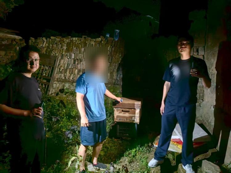 4箱蜜蜂被“一锅端”，邻居陈某如、杨某平落网！