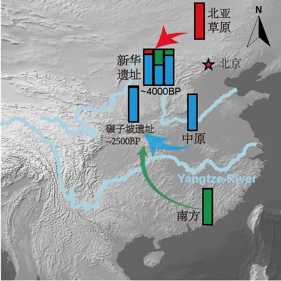最新发现：黄土高原古人竟有南方基因！
