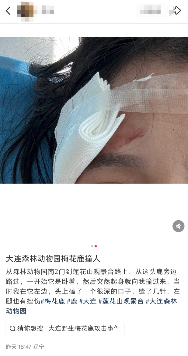 2名游客突然遭到攻击受伤，知名景区紧急回应！