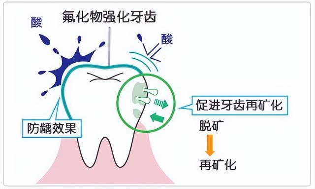 刷牙悄悄省去这个步骤，反而更防蛀！（除了医生没啥人知道）