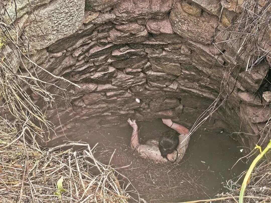 身体泡水中，双手紧抓井壁，多条蛇缠身啃咬…女子绝境中顽强苦撑54小时！