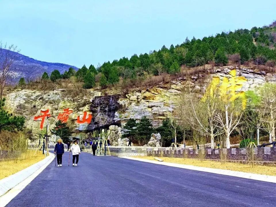 历经108天救治！重伤凤头蜂鹰在千灵山重返蓝天——