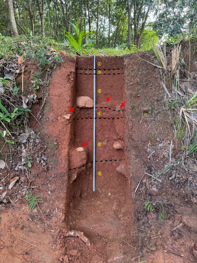距今1.4万年！海南这里新发现30处旧石器地点→