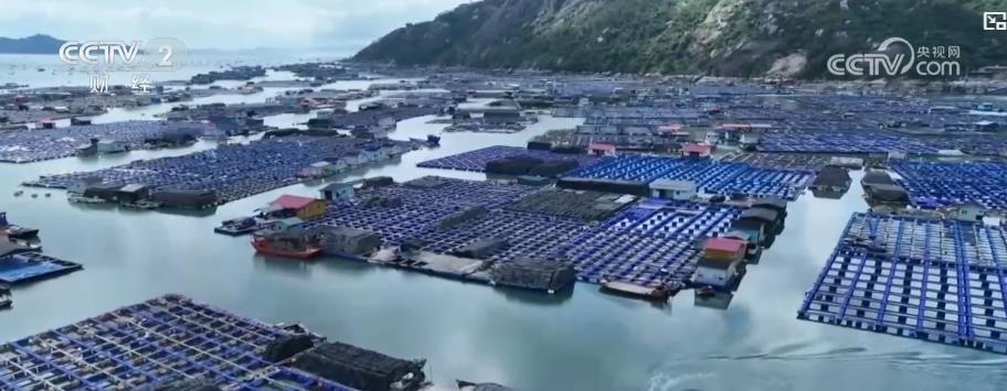 开渔季海鲜“放量”上桌！品类丰富供需两旺 市民抢“鲜”消费火热