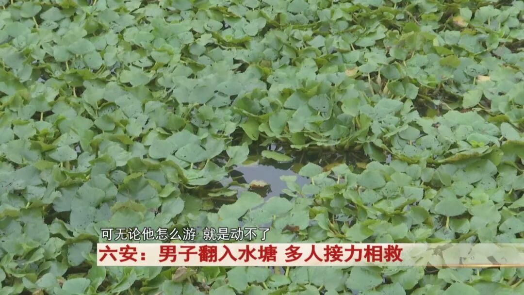 六安男子落水遇险记：会水也怕 “水下陷阱”